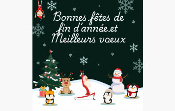 Bonnes fêtes de fin d'année 2025 ! Vive 2026 !